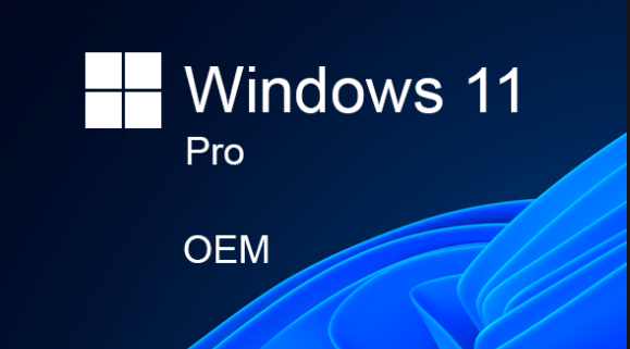 Windows 11 Pro Cd Key OEM Microsoft Global